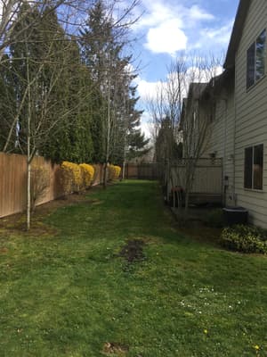 Fenced backyard and lawn area at Roberts Court Townhomes